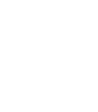Online security icon.
